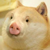 PigeTheGreat