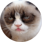 xziovews