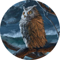 SmokingOwl