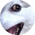 AdmiralAvalon