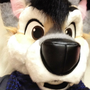 BerlianFox