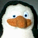 Cheezy1