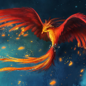 Phoenix49