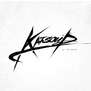 KaisouD
