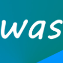 Wasknijper
