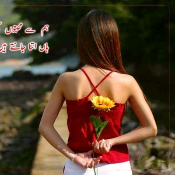 AsifAli66