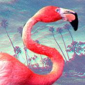 Flaming_0