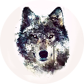 Razer.WolfPack